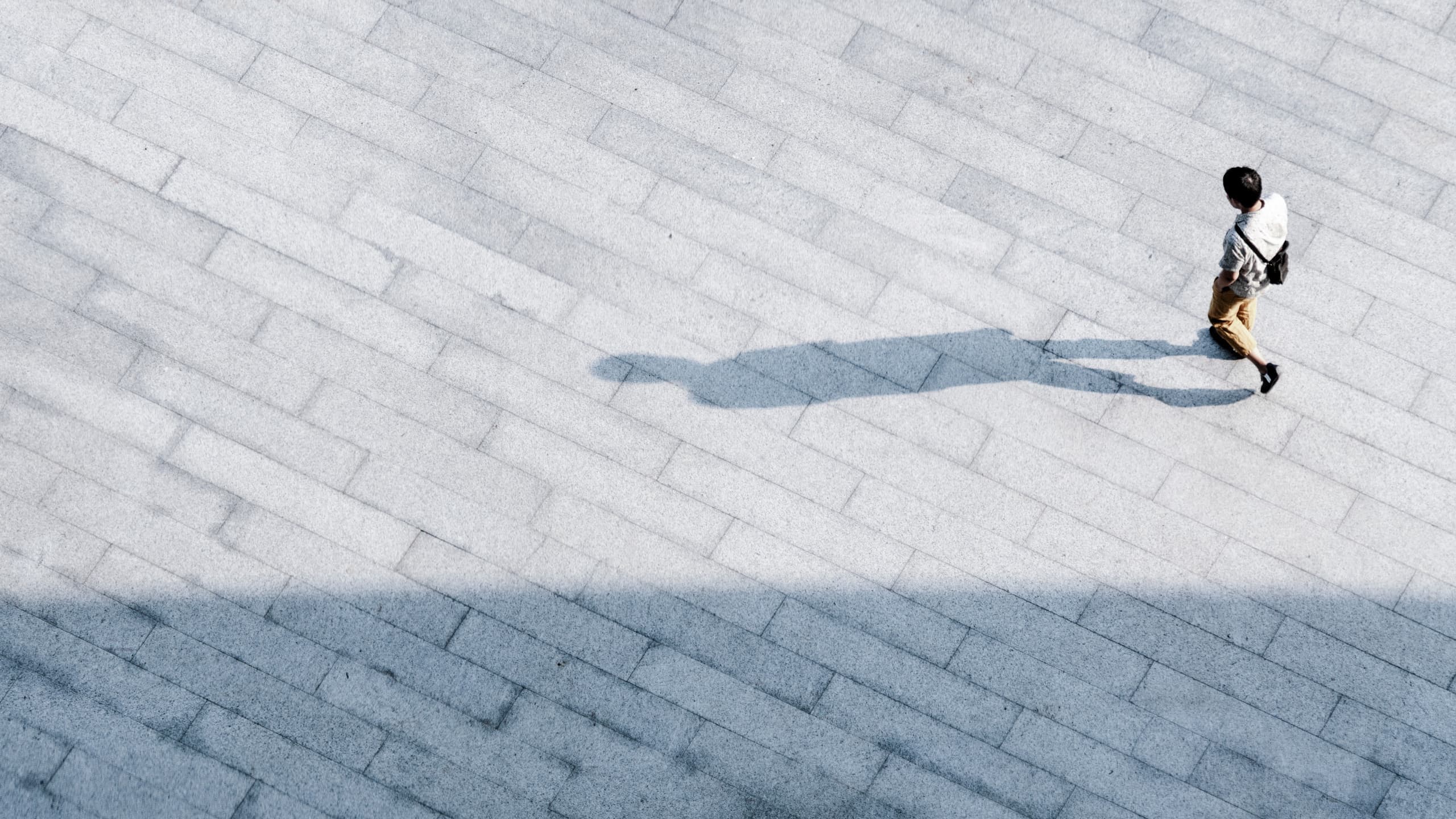 adobestock_243780020.jpg